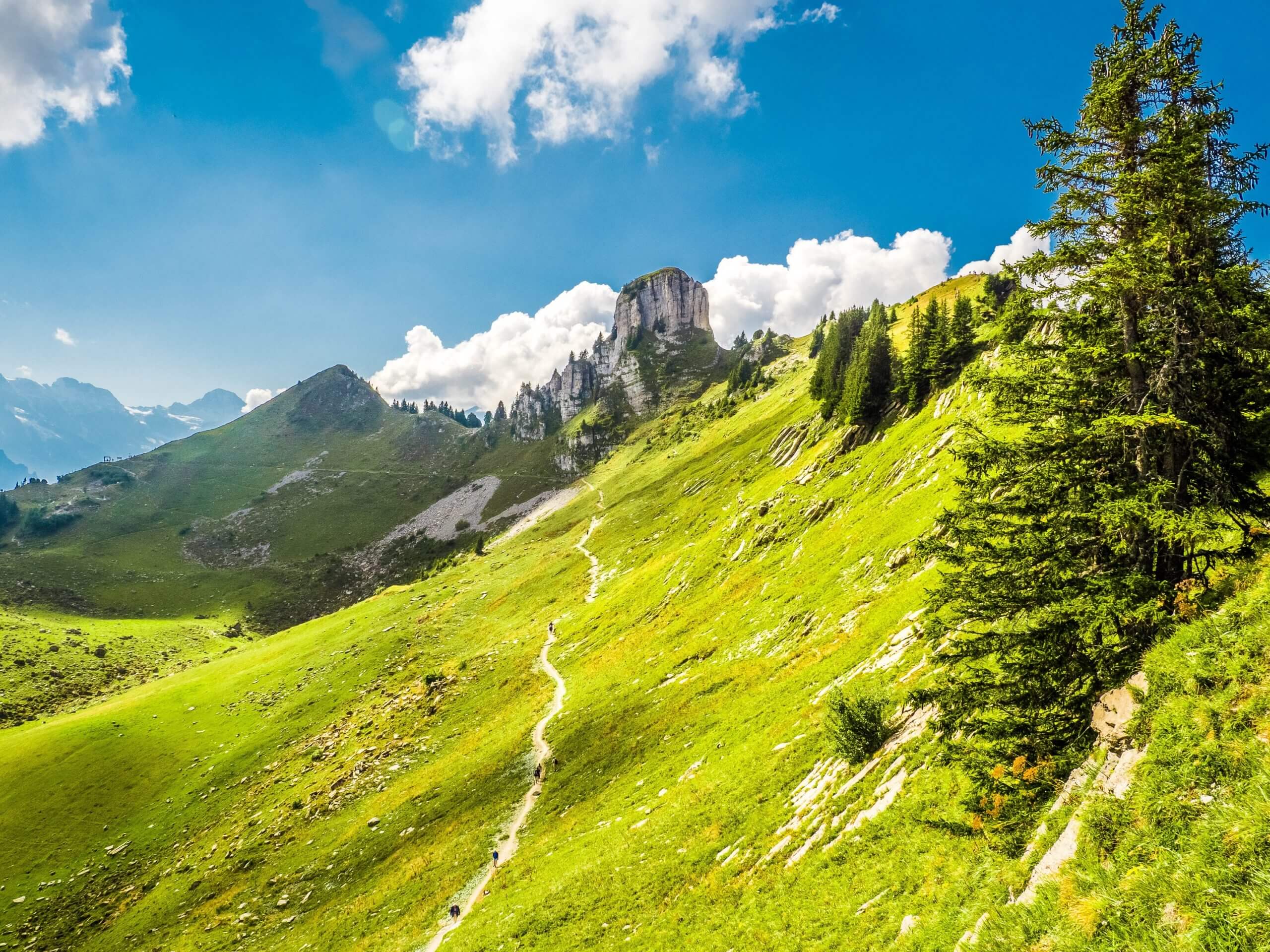 Chemin Panoramaweg Schynige Platte