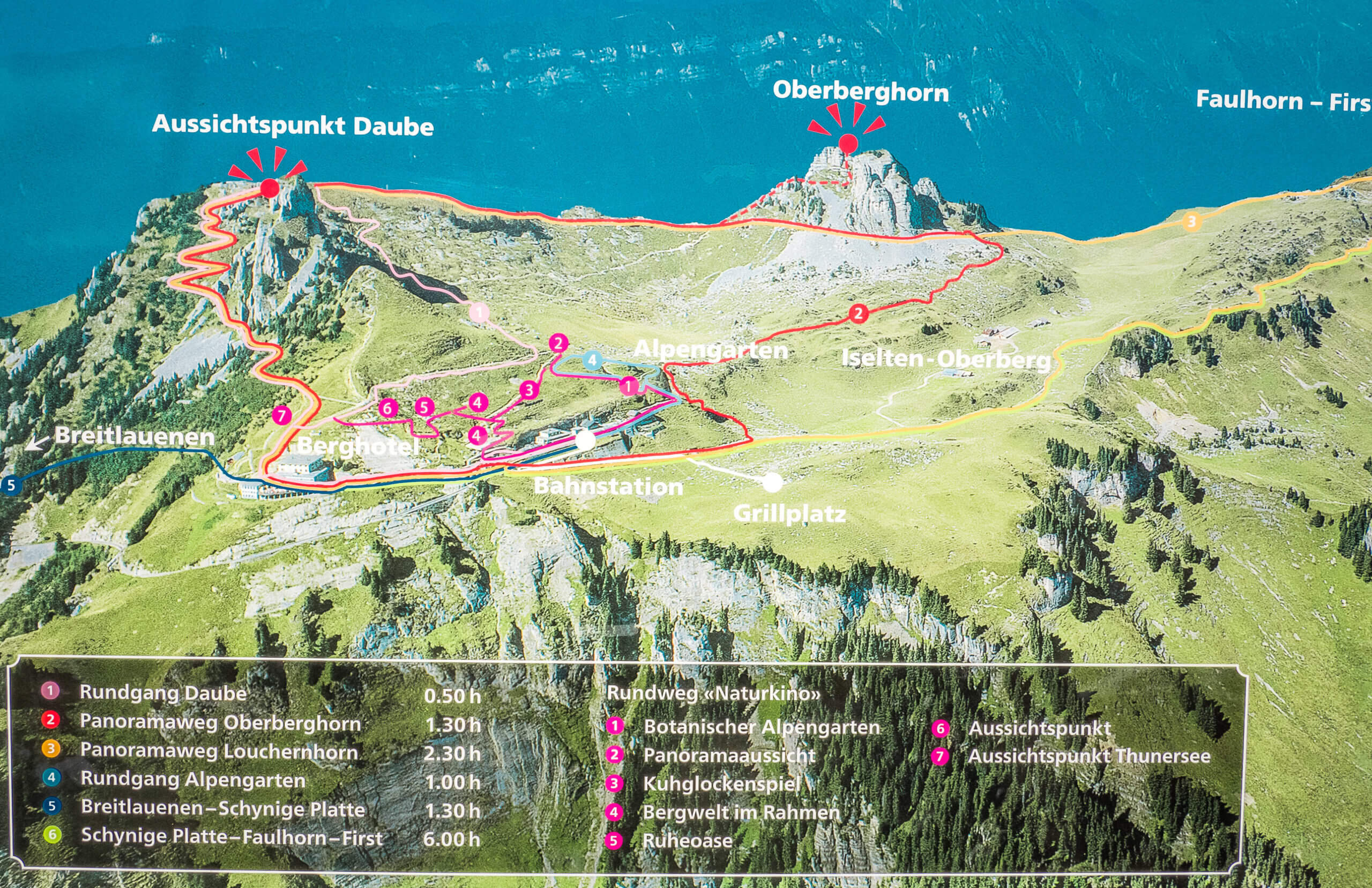 Randonnées Schynige Platte Oberland bernois