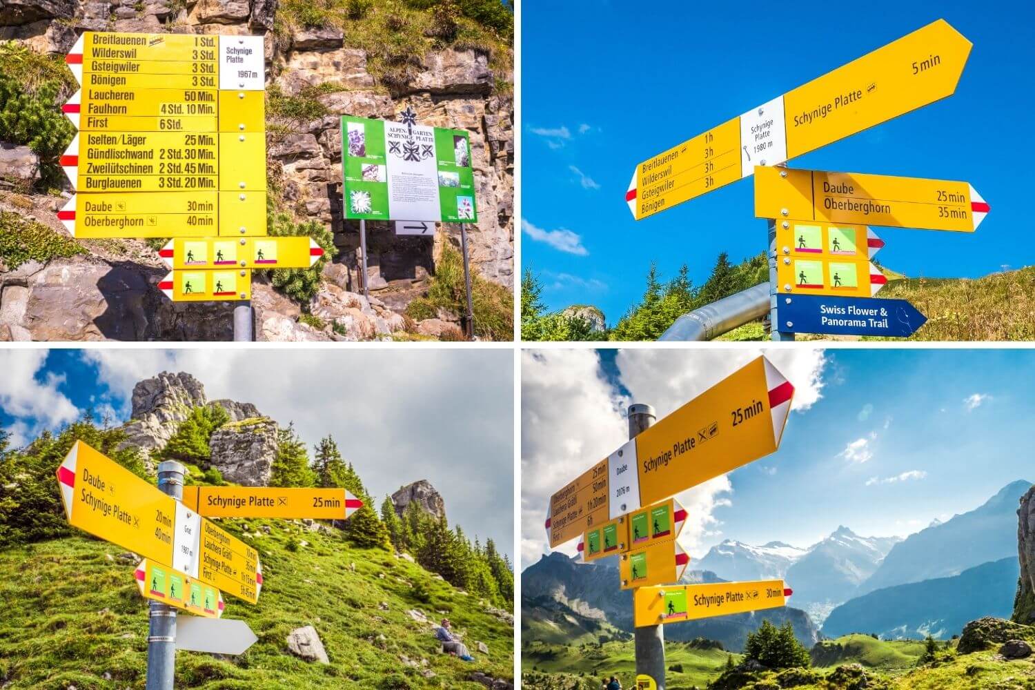 Randonnées possibles depuis Schynige Platte