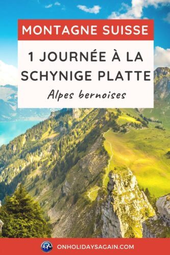 Schynige Platte 1 jour en montagne dans les Alpes bernoises en Suisse