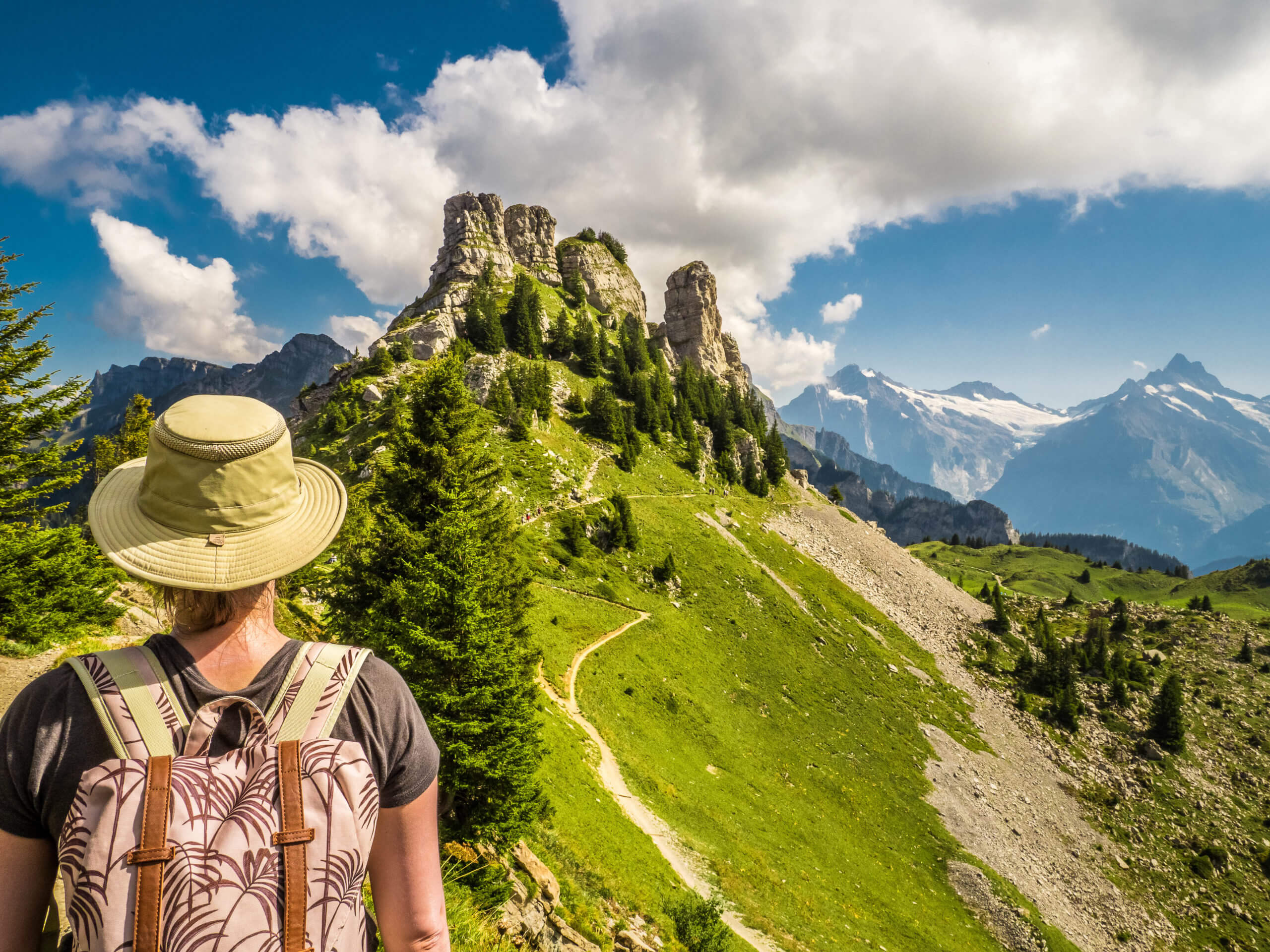 Vue sur Oberberghorn depuis Schynige Platte Oberland bernois