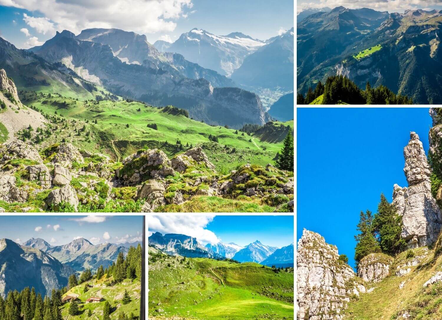 Vues et luminosités depuis Schynige Platte