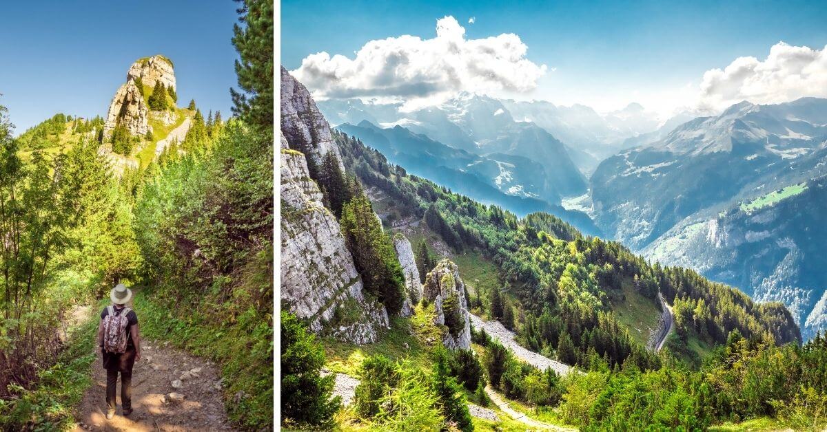 Vues sur Gumihorn et Vallée de Lauterbrunnen depuis Schynige Platte