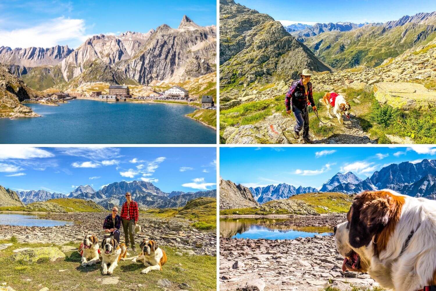 Randonnée Grand-Saint-Bernard à faire en Valais