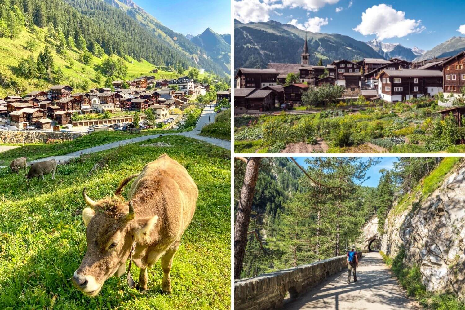 Vallée de Binn à voir en Valais
