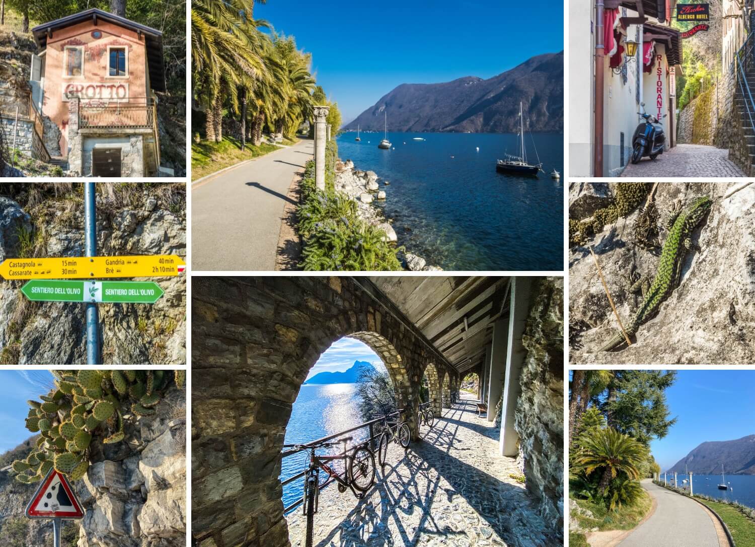 Balade sur le sentier des oliviers_à faire à Lugano