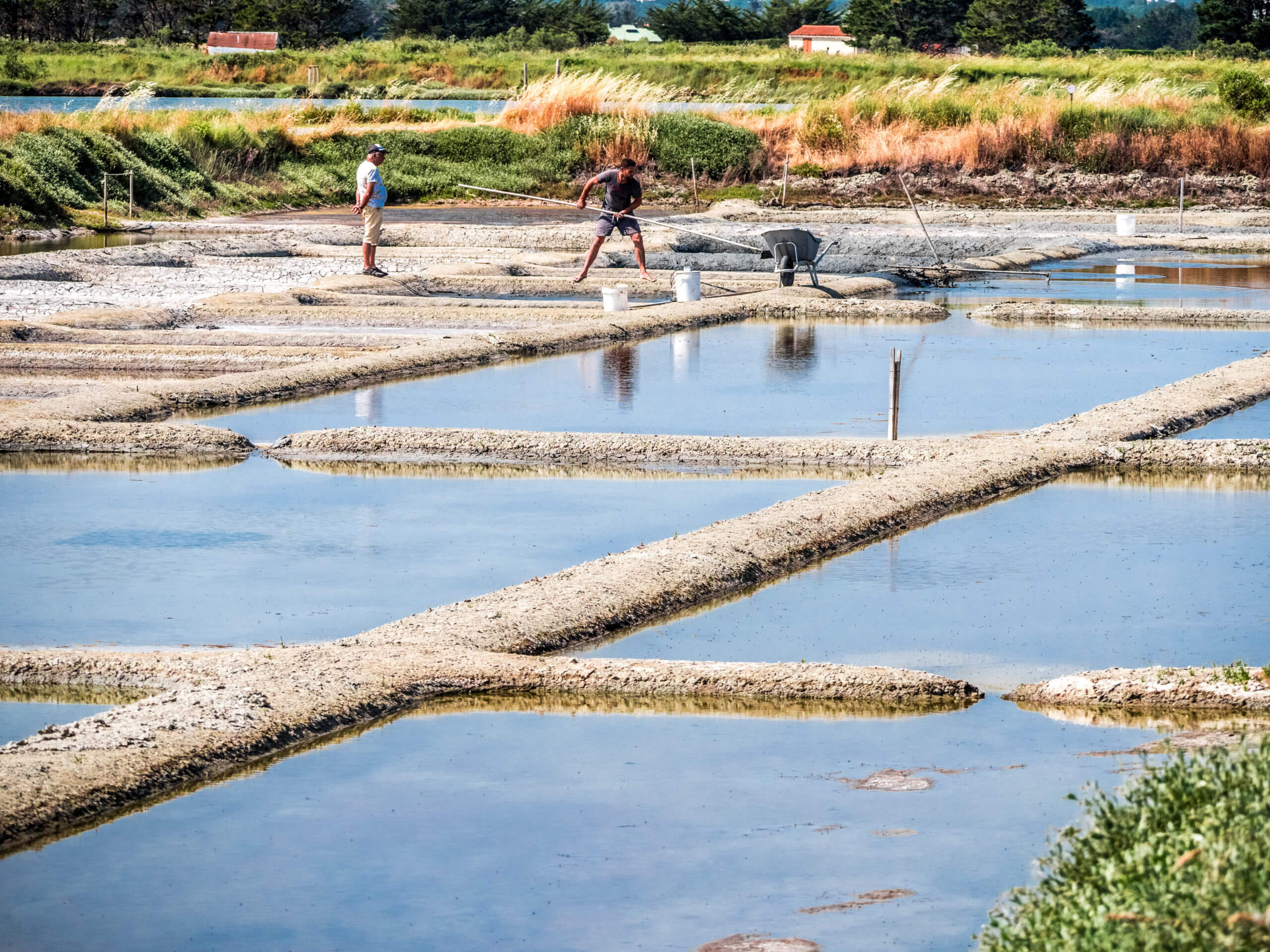 Visiter les marais salants Ile d'Olonne
